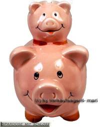 Sparschwein Spardose Er & Sie neu mit Beschriftung  Ma�e ca.: L= 12,5cm - Bild vergr��ern 