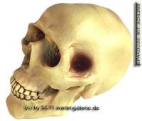 Spardose Totenkopf - Skull - Schdel mit Spardosenschloss und Spardosenschlssel  Mae ca.: H= 20 cm - Bild vergrern 