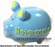 Sparschwein 3D Design Notgroschen hellblau Keramik Marke KCG Ma&szlig;e ca.: L= 12,5 cm