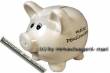 Sparschwein Beschriftung meine Pensionskasse wei&szlig; mit Spardosenschloss Schl&uuml;ssel Ma&szlig;e ca.: L= 13 cm
