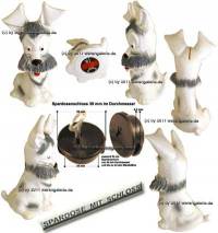 Spardose Hund Jimmy mit Spardosenschloss und Metall- Spardosenschlssel Mae ca.: H= 19,5 cm - Bild vergrern 
