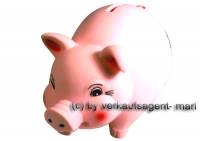 Sparschwein Kleeblatt in rosa Glcksbringer aus Kunststoff mit Spardosenschloss Mae ca.: L= 17 cm - Bild vergrern 